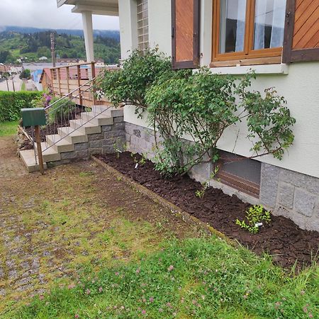 Gite Papillon 6 A14 Personnes - Jacuzzi Gerardmer Luaran gambar